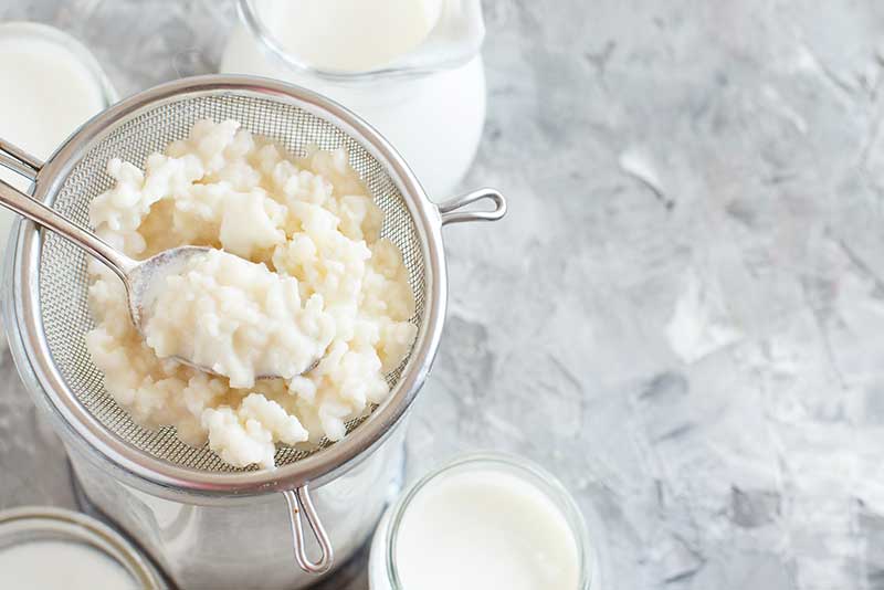 Kefir